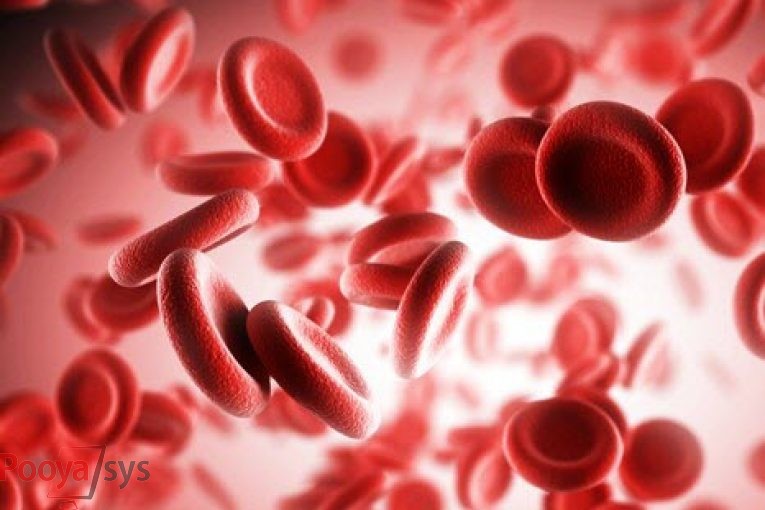 راهنمای خواندن برگه های آزمایش پزشکی