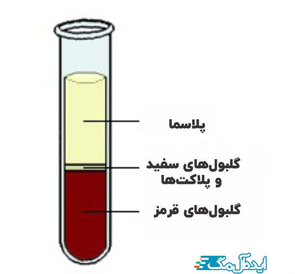 ساختار کلی خون 