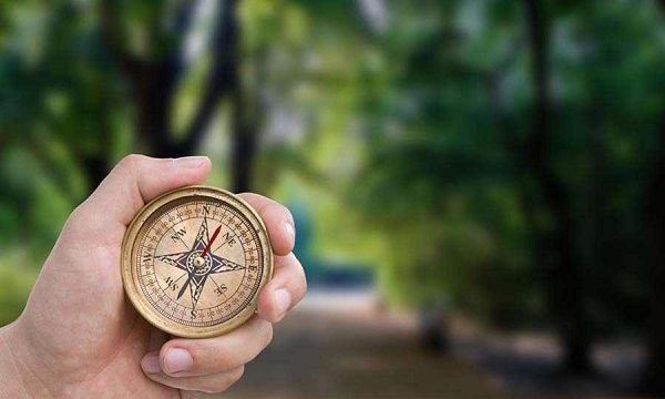 از جنگل خودکشی در ژاپن چه میدانید؟