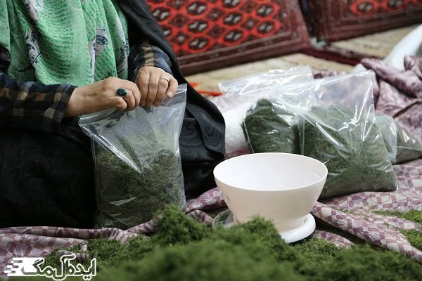 کار در منزل