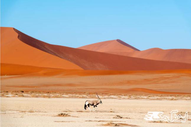 صحرای نامیب در کشور نامیبیا