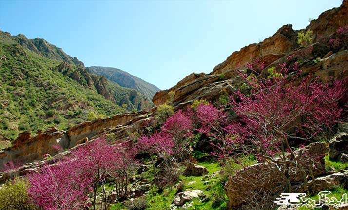 دره ارغوان طرقبه از جاذبه های گردشگری بینالود