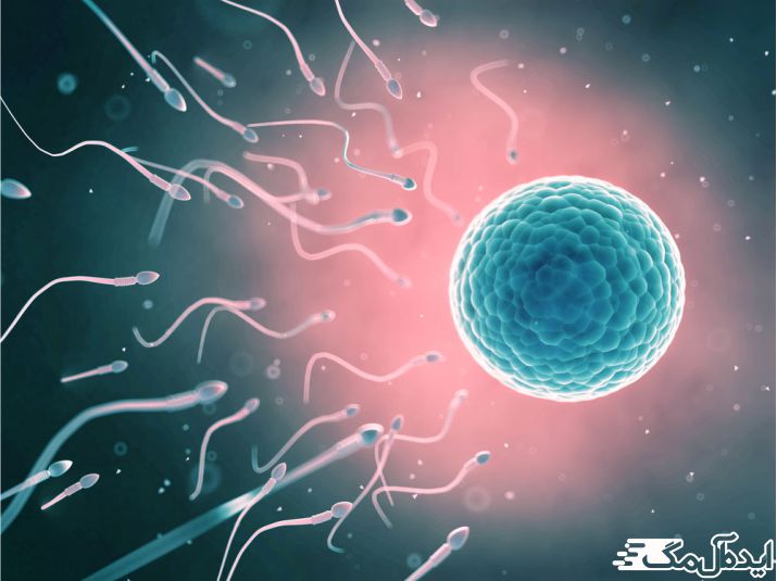 دلایل کاهش عملکرد اسپرم