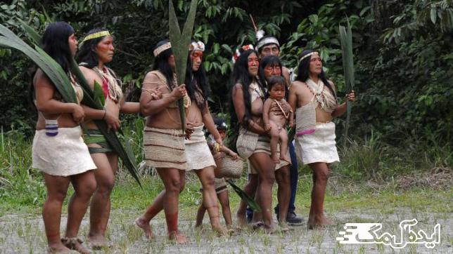 قبایل بومی جنگل های آماوزن 