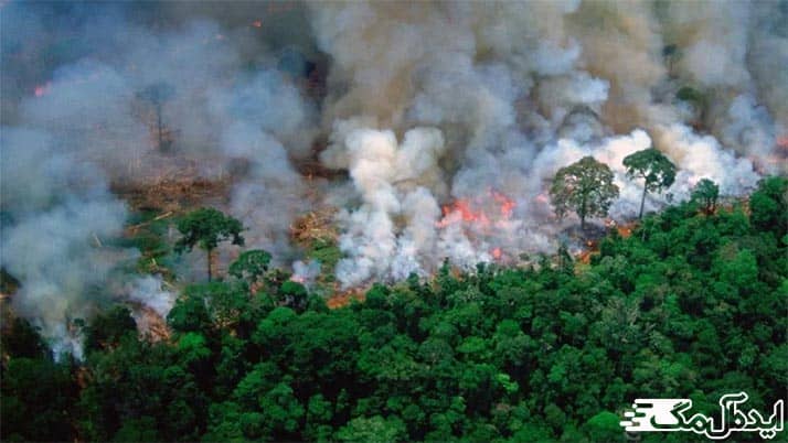 آتش سوزی جنگل های آمازون
