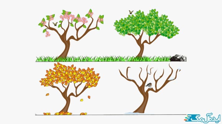 برسی عوامل موثر بر آبیاری درختان