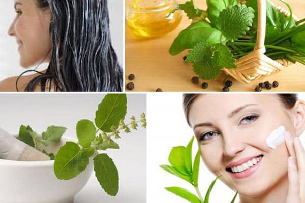 گیاهان دارویی مفید برای پوست و مو