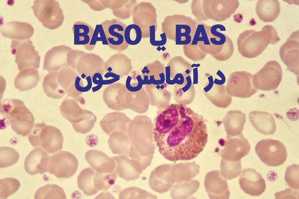 BAS در آزمایش خون