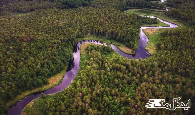 مسیر رودخانه آمازون از دل جنگل 