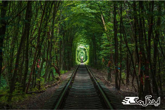تونل عشق یکی از زیباترین جنگل های جهان 
