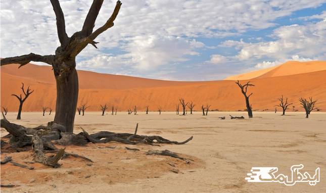 جنگل خشک شده deadvlei namibia