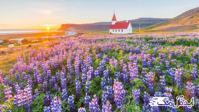 ایسلند یکی از کم جمعیت ترین کشورهای جهان 