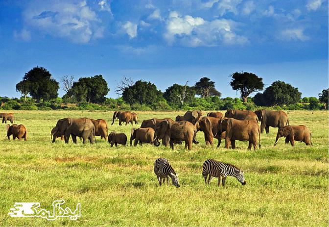 جاذبه های گردشگری کنیا 