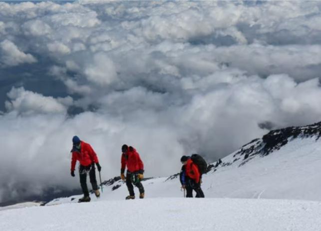 کوهنوردان در حال صعود به اورست