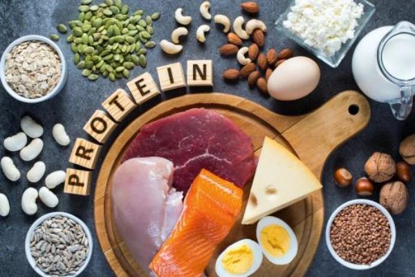 همه چیز درباره پروتئین