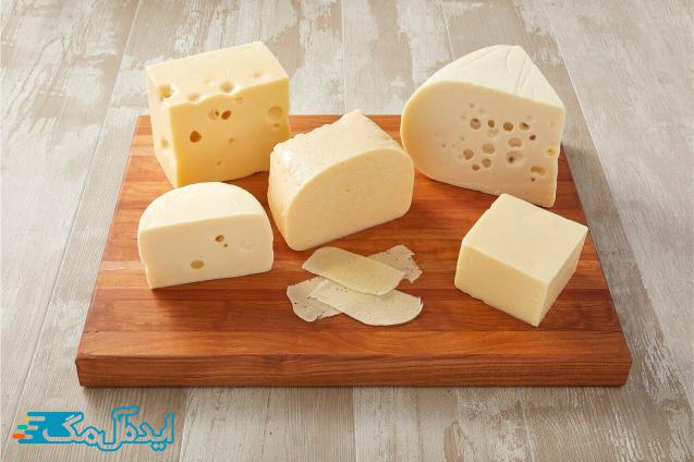 پنیر چیست ؟