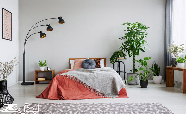 فواید استفاده از گیاه آپارتمانی برای اتاق خواب