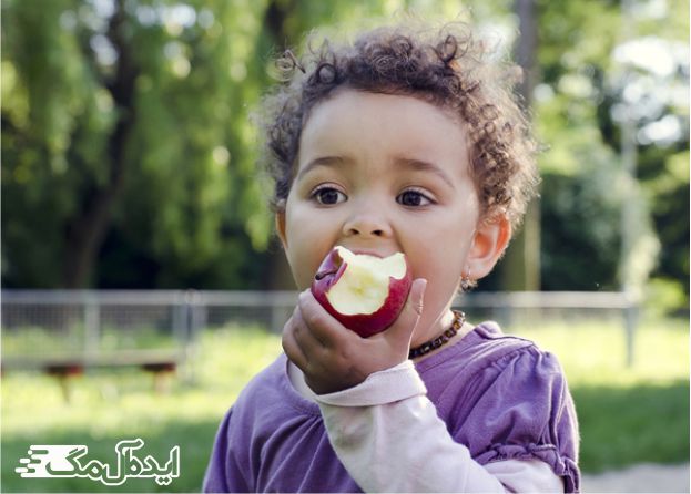 سیب یکی از غذاهای مفید برای تقویت حافظه کودکان 