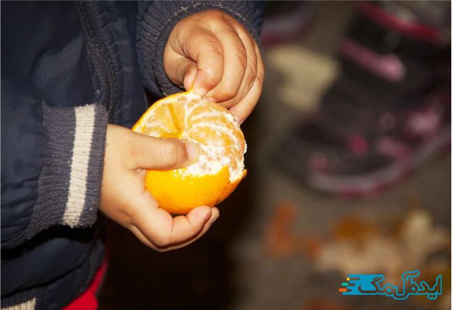 پرتقال یکی از بهترین غذاها برای تقویت حافظه کودکان 