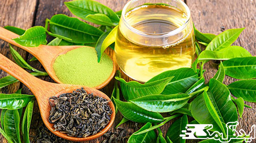 چای سبز برای بارداری سریع در طب سنتی 