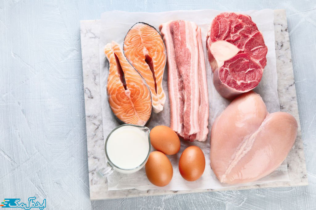 غذاهای حیوانی شامل انواع گوشت، تخم‌مرغ و شیر
