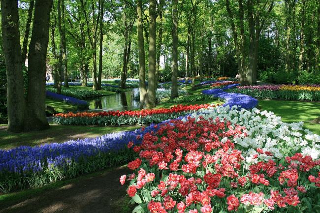 باغ گل کوکنهوف آمستردام