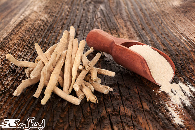 گیاه آشواگاندا یا گیلاس زمستانی