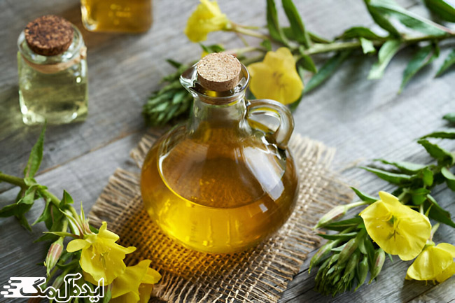 گل مغربی و روغن آن برای درمان تنبلی تخمدان