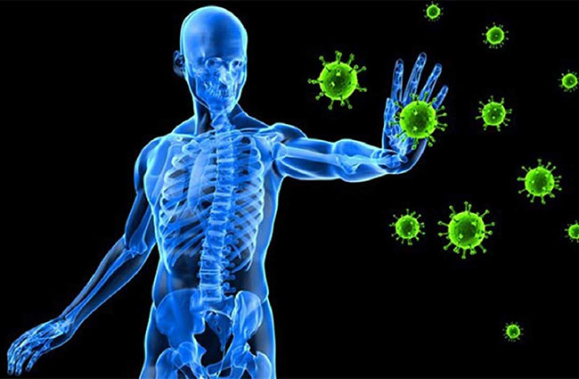 چگونه سیستم ایمنی بدن را تقویت کنیم
