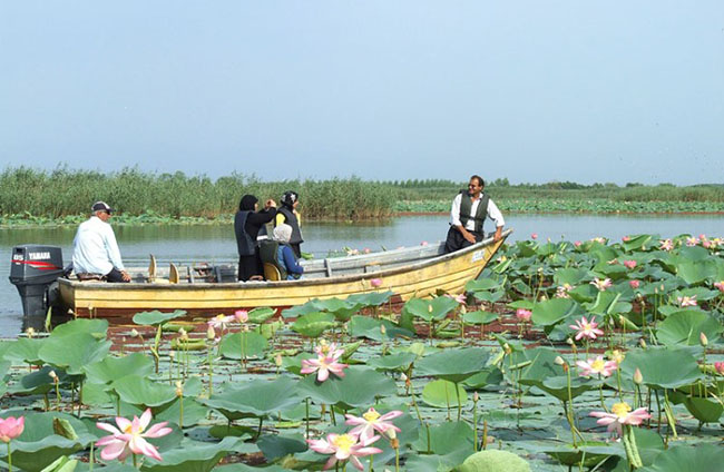 یک خانواده با قایق برای گردش در تالاب انزلی رفته اند