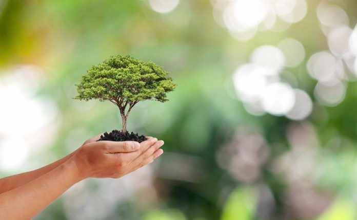 تحقیق درباره حفاظت از محیط زیست