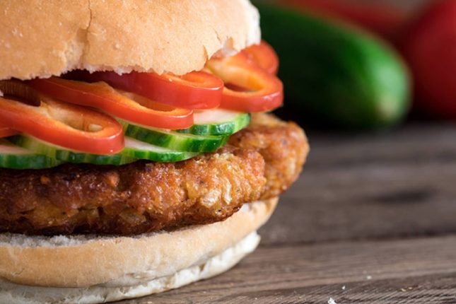 طرز تهیه همبرگر خانگی با گوشت و سویا