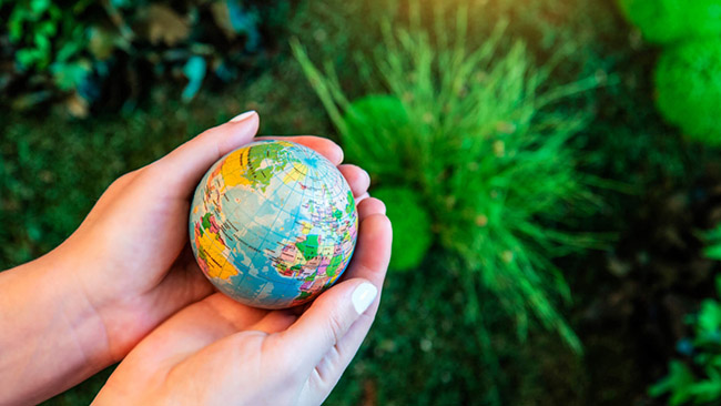 چرا باید از محیط زیست محافظت کنیم؟