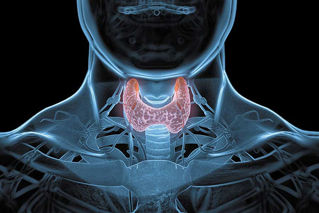 ارتباط کم‌کاری تیروئید با افزایش وزن