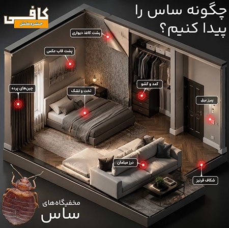 چگونه ساس را پیدا کنیم؟  - مخفیگاه های ساس